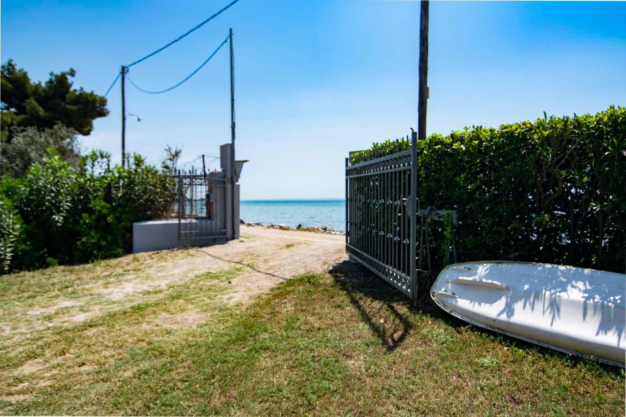 Clio Beach House By Travel Pro Services - Metochi Halkidiki Sozopoli Eksteriør billede