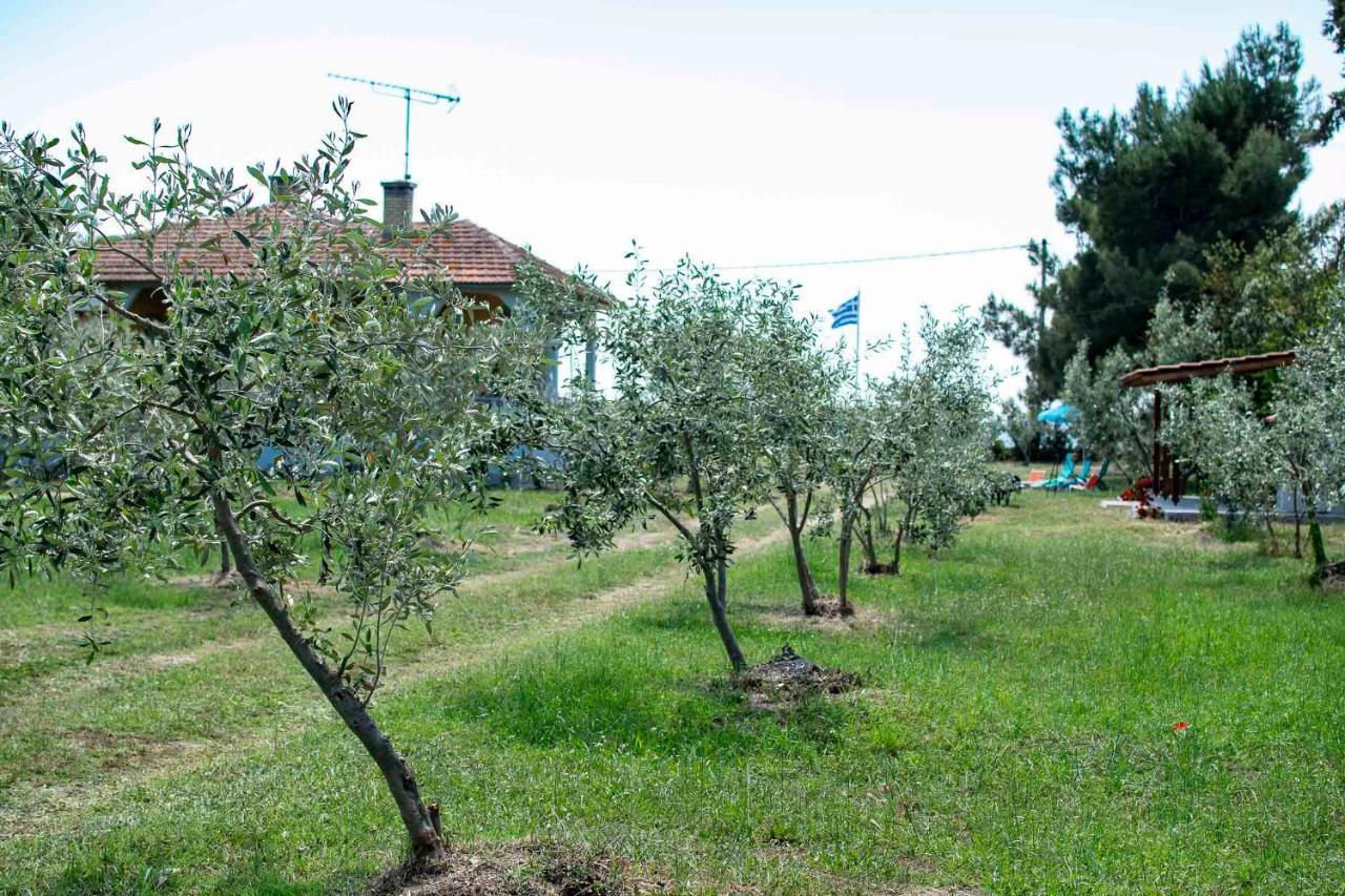 Clio Beach House By Travel Pro Services - Metochi Halkidiki Sozopoli Eksteriør billede